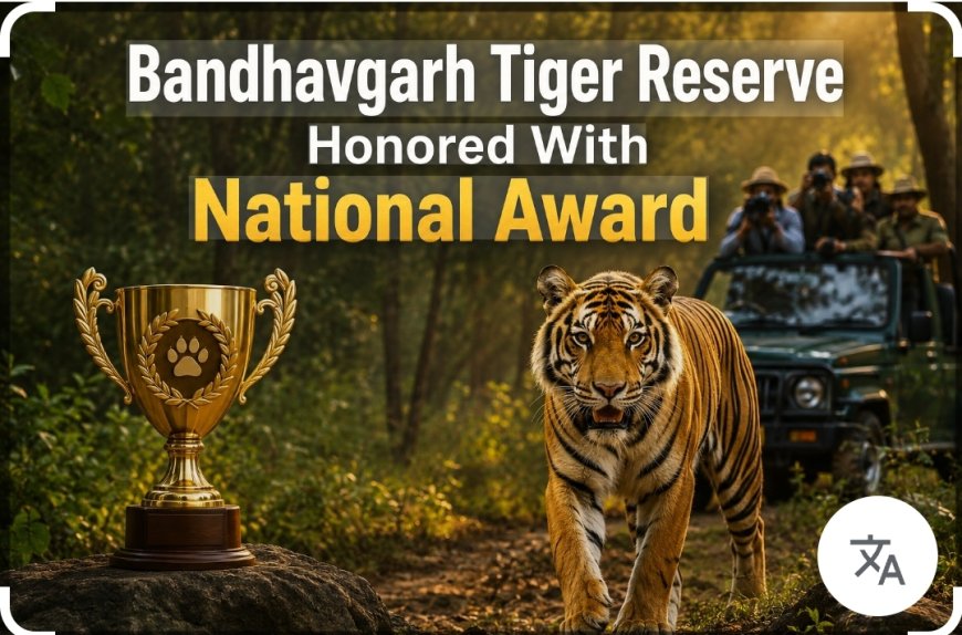 देश दुनिया में छाया बांधवगढ़,  मिला बेस्ट वाइल्ड लाइफ डेस्टिनेशन का राष्ट्रीय सम्मान
