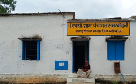 जांच और विवादों के बीच रोजगार सहायक को मिला वित्तीय प्रभार, कलेक्टर से हुई शिकायत