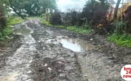 सड़क कम दलदल ज्यादा...?