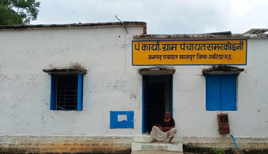 जांच और विवादों के बीच रोजगार सहायक को मिला वित्तीय प्रभार, कलेक्टर से हुई शिकायत