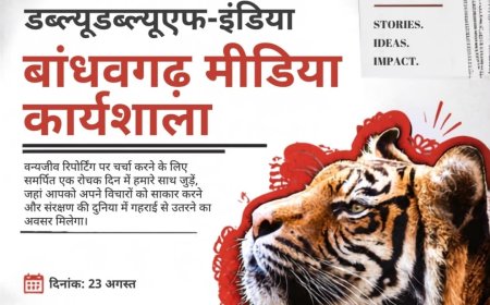 WWF की मीडिया कार्यशाला को लेकर उठे सवाल, मीडिया कार्यशाला महज दिखावा, असली वजह लाखों के अनुदान और सामग्रियों का बंदरबांट तो नही.?