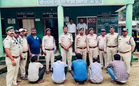 बड़ी कार्रवाई : जंगली सुअर के अवैध शिकार मामले में पांच आरोपी गिरफ्तार