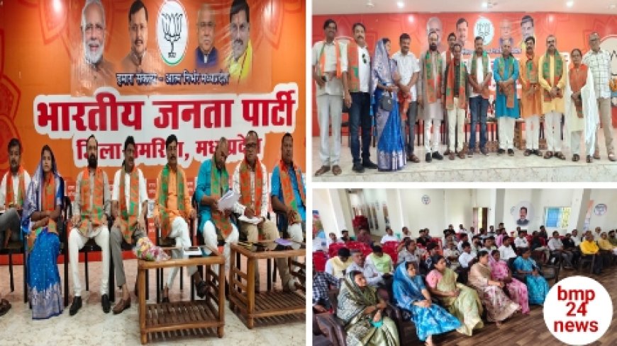 हर घर तिरंगा यात्रा और संत रविदास जी के समरसता अभियान को बनाये सर्वव्यापी :आशुतोष