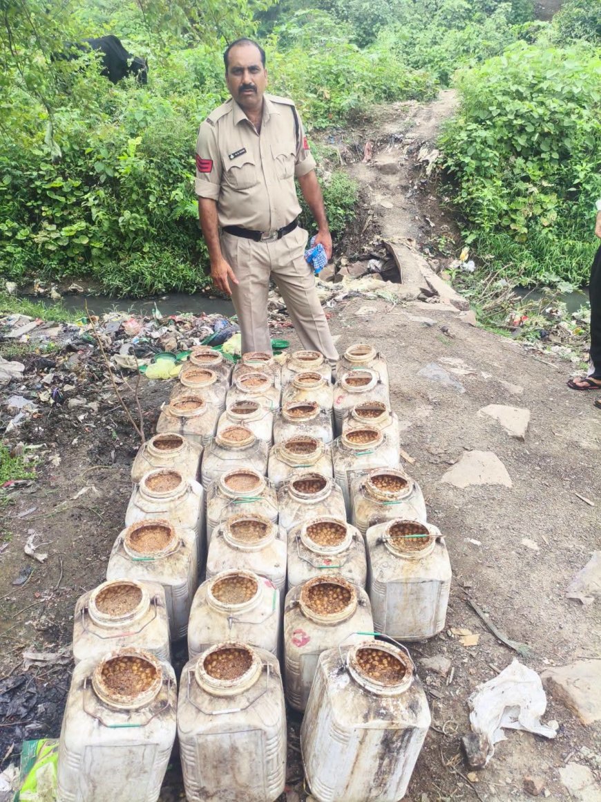 आबकारी विभाग की अवैध मदिरा के खिलाफ कार्रवाही से मचा हड़कंप