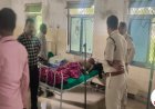 शराब के नशे में बाघ से छेड़खानी करना युवक को पड़ा भारी