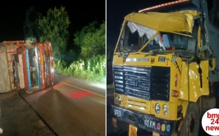 खड़े मिनी ट्रक में हाइवा ने मारी टक्कर, भूसी लोड वाहन पलटा,  हादसे में दोनों चालक सुरक्षित