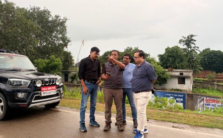 अमरपाटन से बांधवगढ़ आएगा नर हाथी ई-5