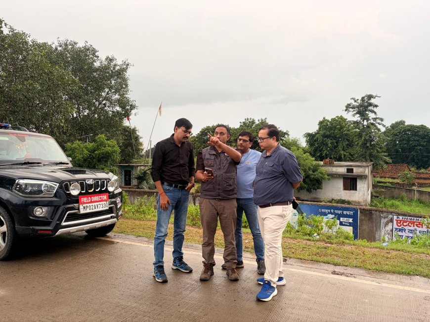 अमरपाटन से बांधवगढ़ आएगा नर हाथी ई-5