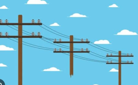 21 लाख का बजट डकारने की तैयारी!  ठेकेदार की घोर लापरवाही से अंधेरे में रहने को मजबूर आदिवासी