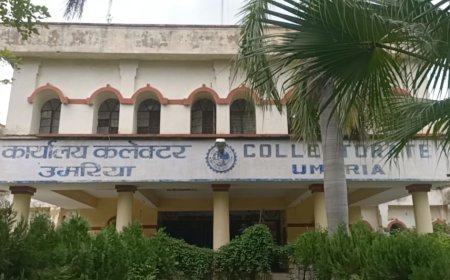अफसरों की शह पर साहब के आदेश की बलि