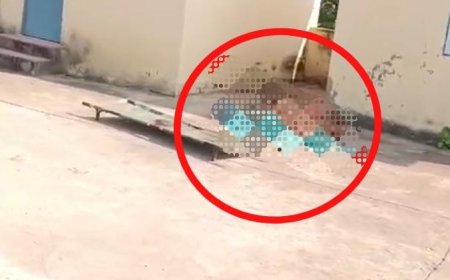 रेलवे स्टेशन पर दर्दनाक हादसा, मालगाड़ी की चपेट में पति-पत्नी की मौत
