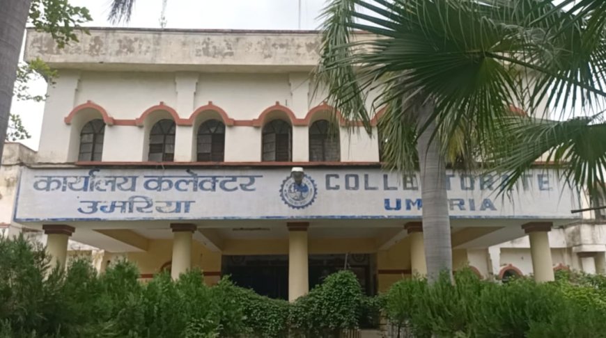 अफसरों की शह पर साहब के आदेश की बलि