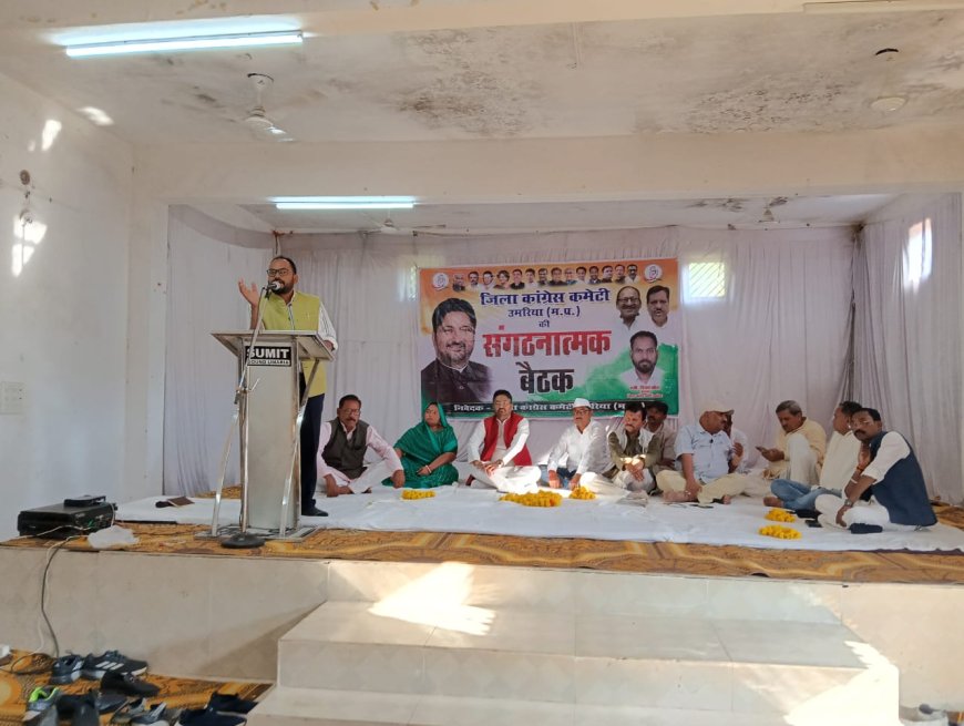 जिला कांग्रेस कमेटी की संगठनात्मक बैठक संपन्न